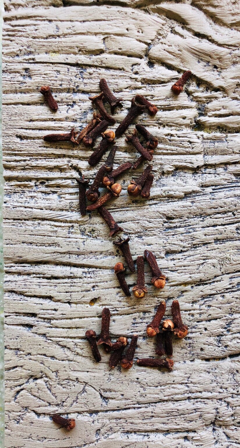 Cloves Laung The Authentic PunjaBee